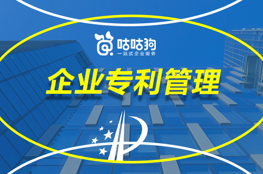 咕咕狗|企业专利管理工作如何开展,看看资深专家怎么说