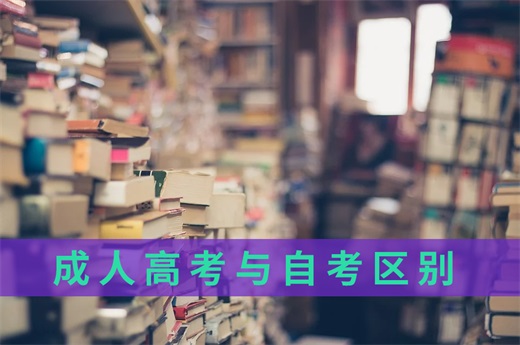 咕咕狗|指路明灯：3分钟弄懂自考与成人高考之间的区别