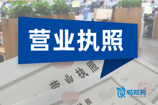 了解一下营业执照的种类,创业有备无患