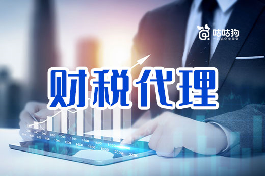 普通会计和财税代理公司的会计有什么不同?