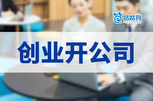 创业开公司,哪种主体类型比较适合新手?