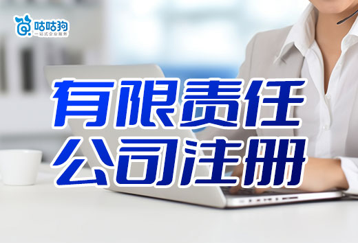 创业不迷路!2024年有限责任公司注册流程攻略